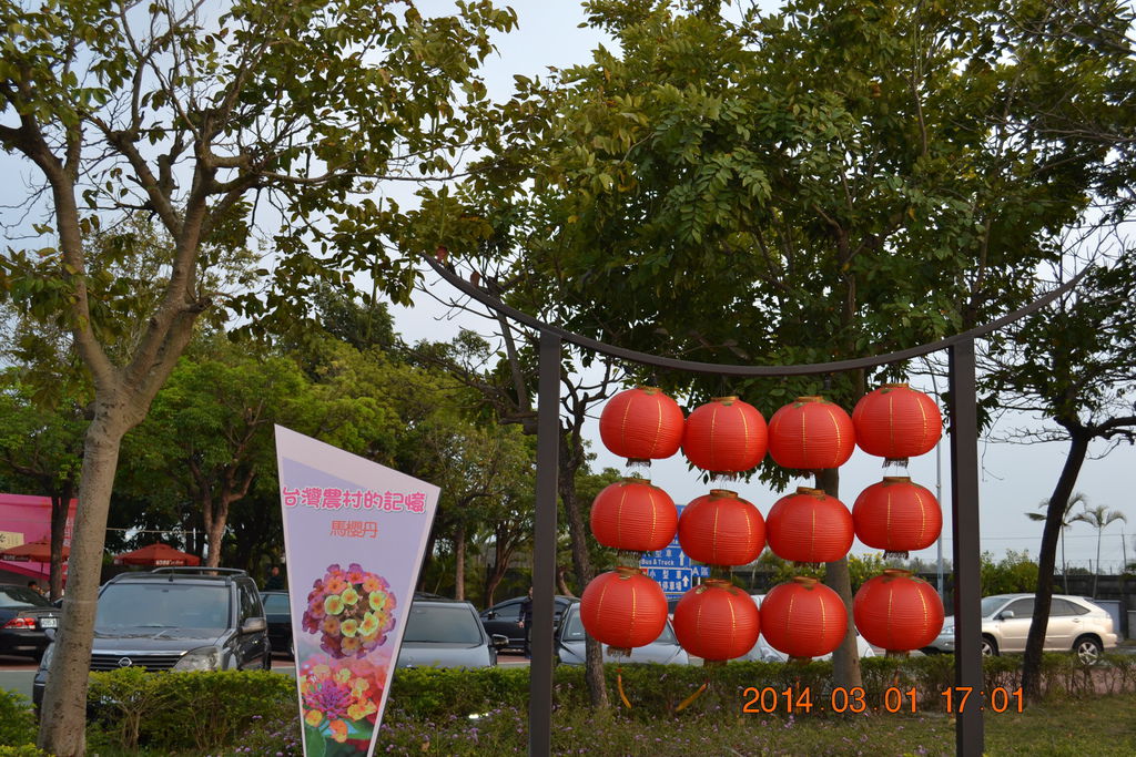 DSC_0138 DSC_0138