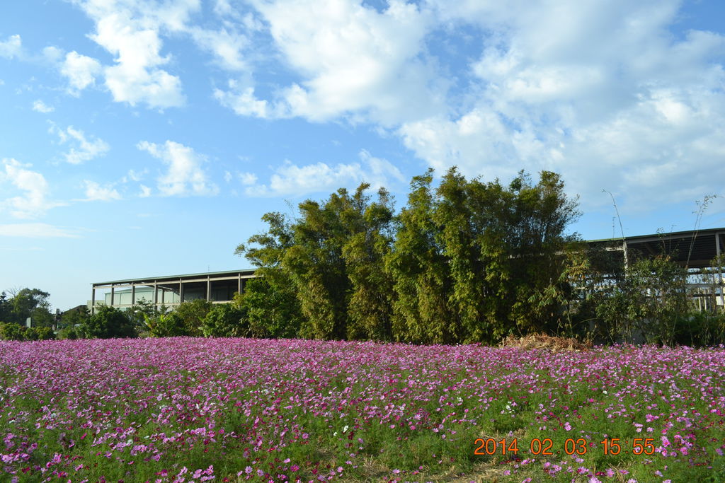 DSC_0084 DSC_0084
