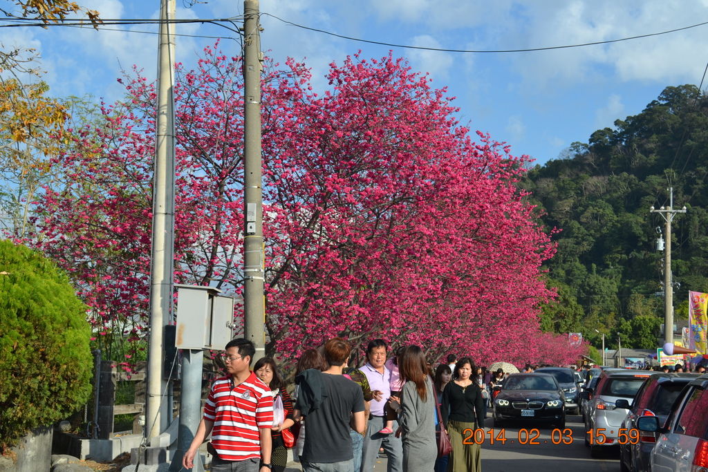 DSC_0087 DSC_0087