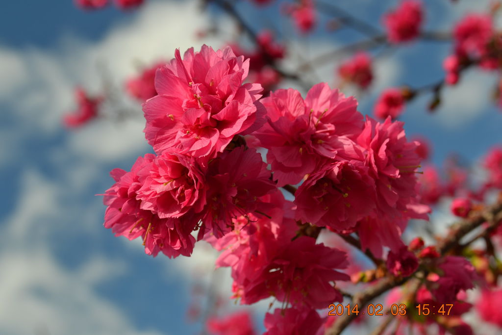 DSC_0076 DSC_0076
