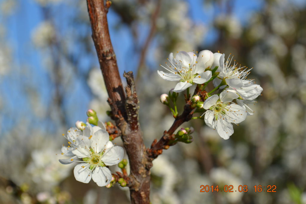 DSC_0101 DSC_0101