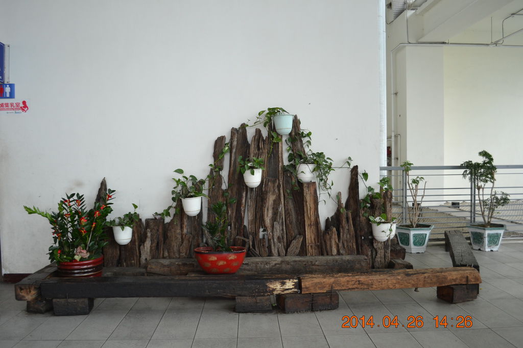 DSC_0056 DSC_0056