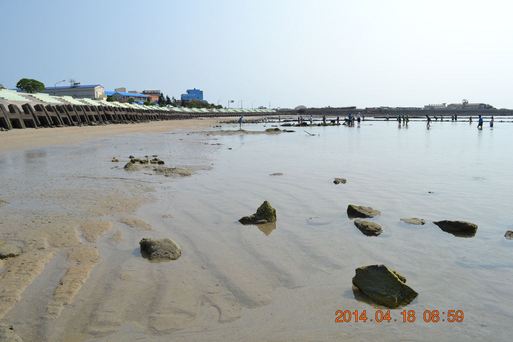 DSC_0437 DSC_0437