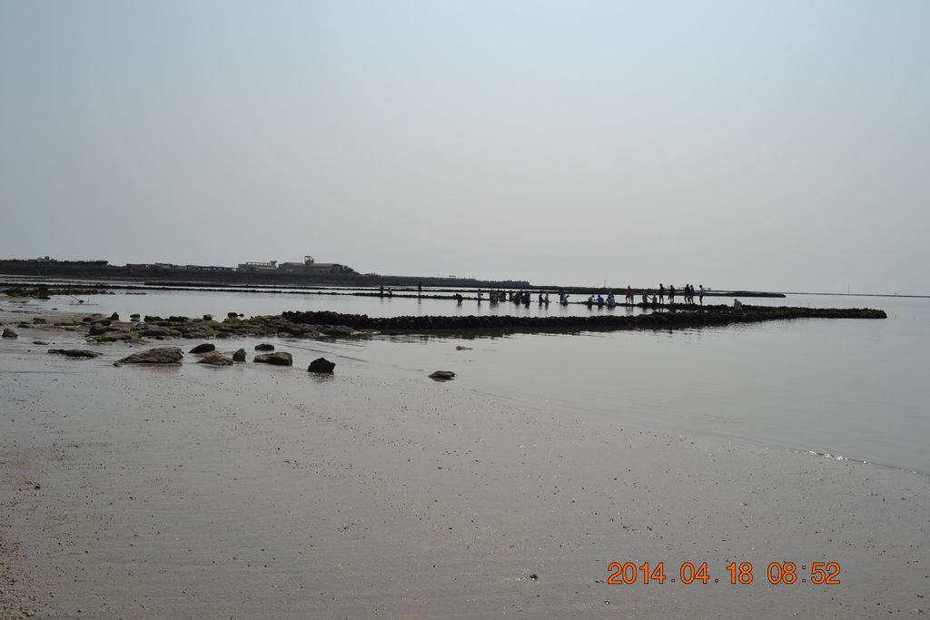 DSC_0428 DSC_0428