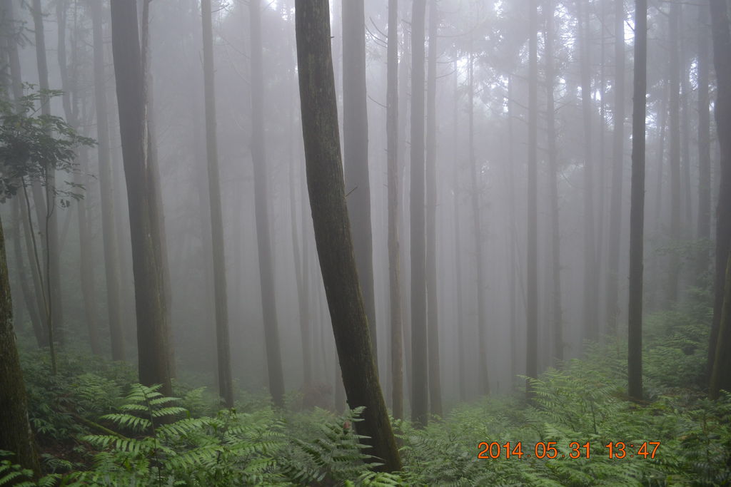DSC_0046 DSC_0046