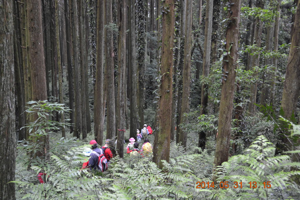 DSC_0041 DSC_0041