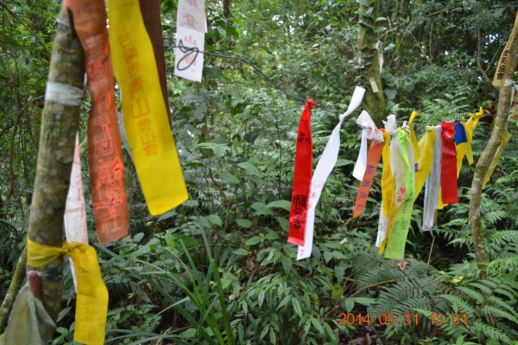 DSC_0038 DSC_0038