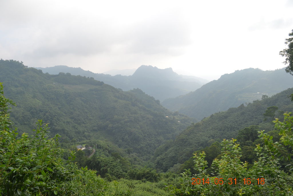 DSC_0063 DSC_0063