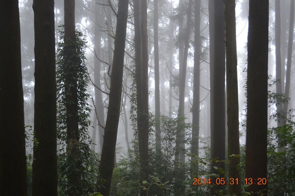 DSC_0042 DSC_0042