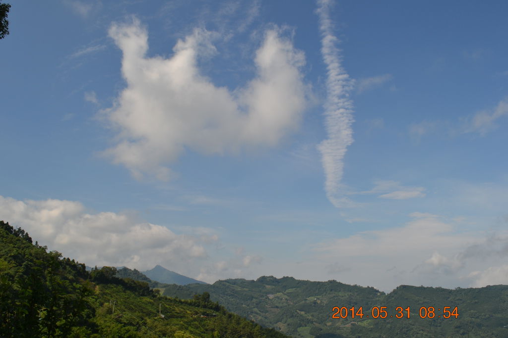 DSC_0002 DSC_0002