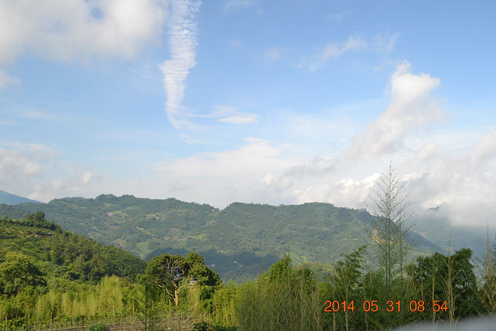 DSC_0003 DSC_0003