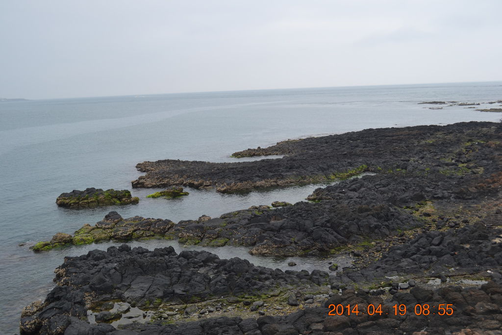 DSC_0829 DSC_0829