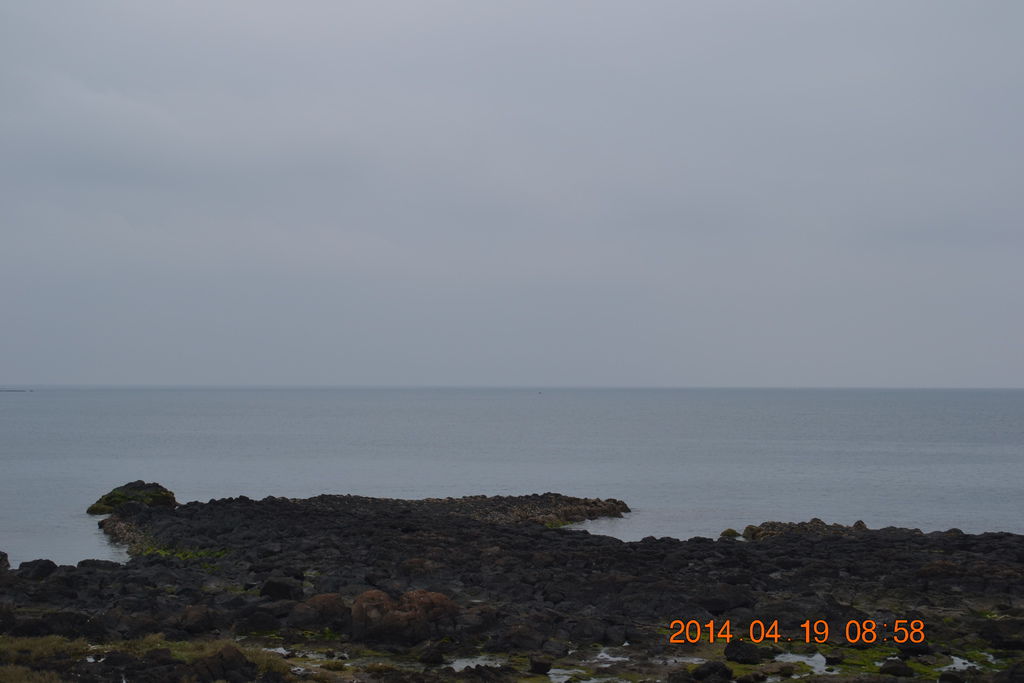 DSC_0833 DSC_0833