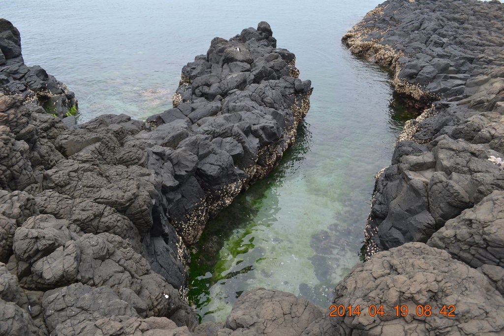 DSC_0804 DSC_0804