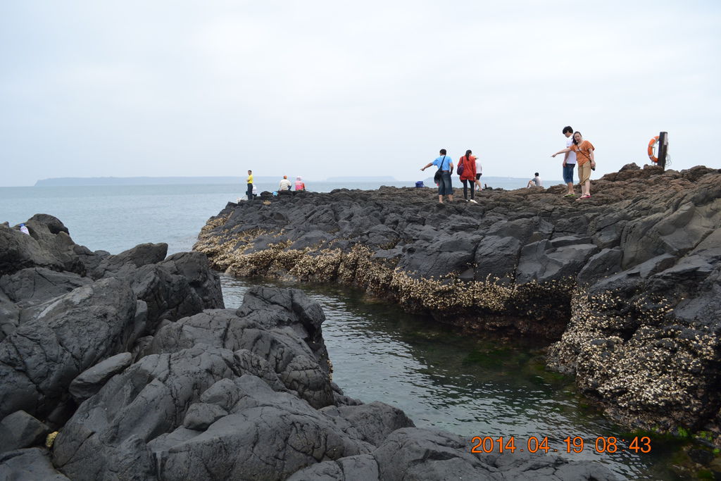 DSC_0806 DSC_0806