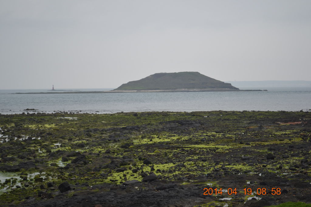 DSC_0831 DSC_0831