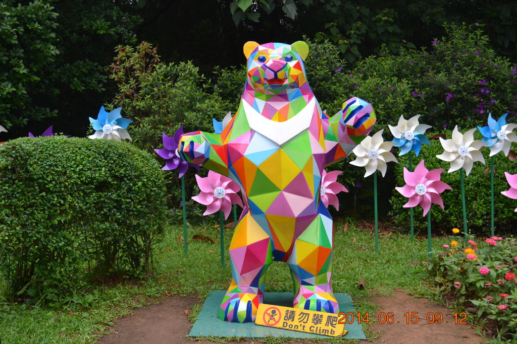 DSC_0121 DSC_0121
