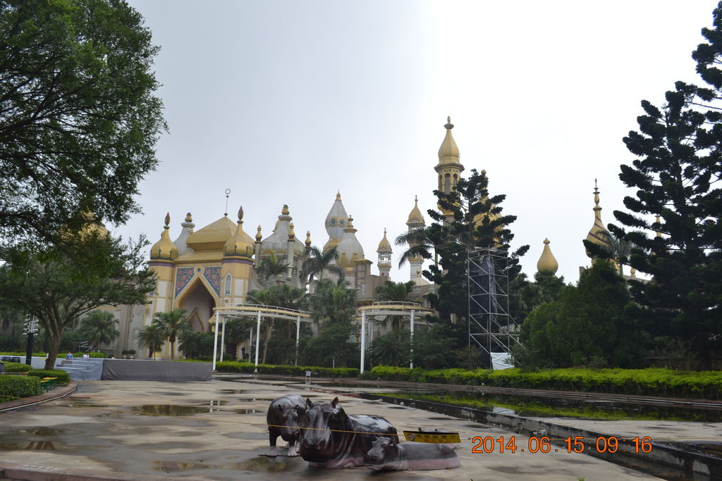 DSC_0131 DSC_0131