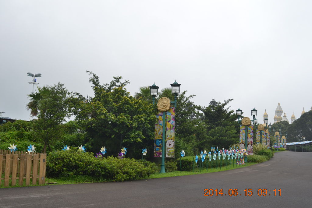 DSC_0119 DSC_0119
