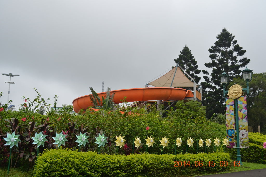 DSC_0126 DSC_0126