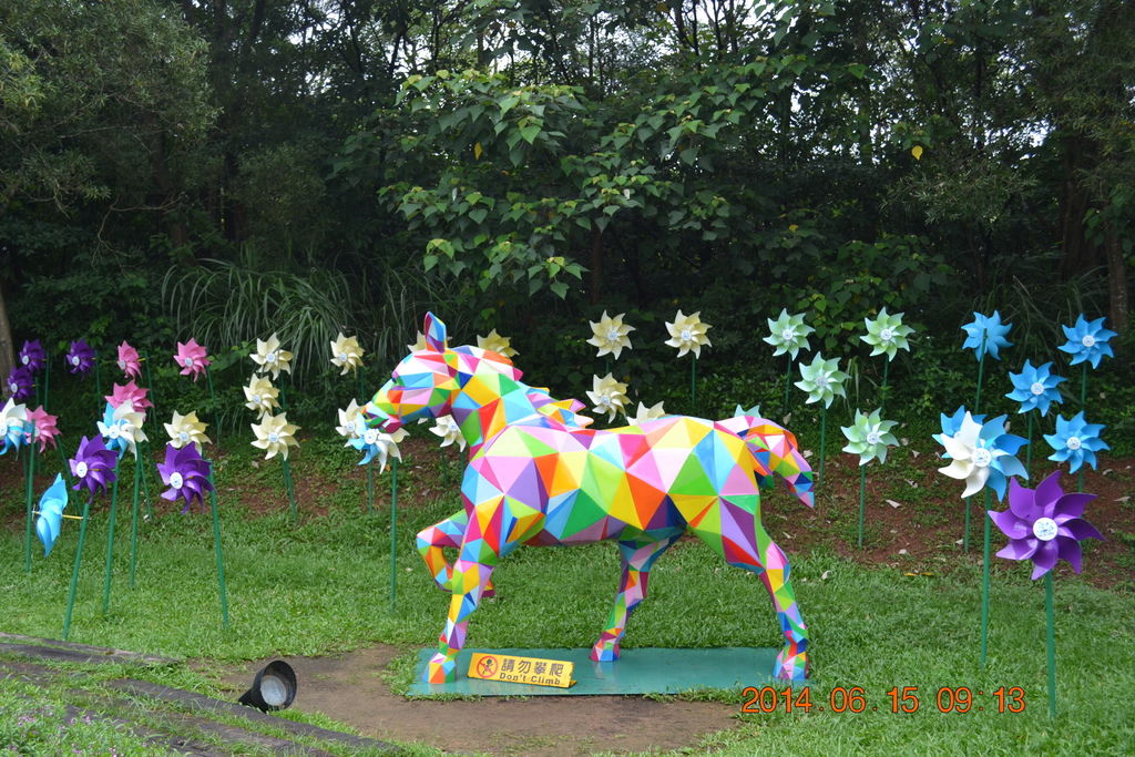 DSC_0124 DSC_0124