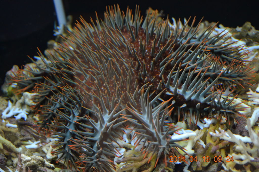 DSC_0845 DSC_0845