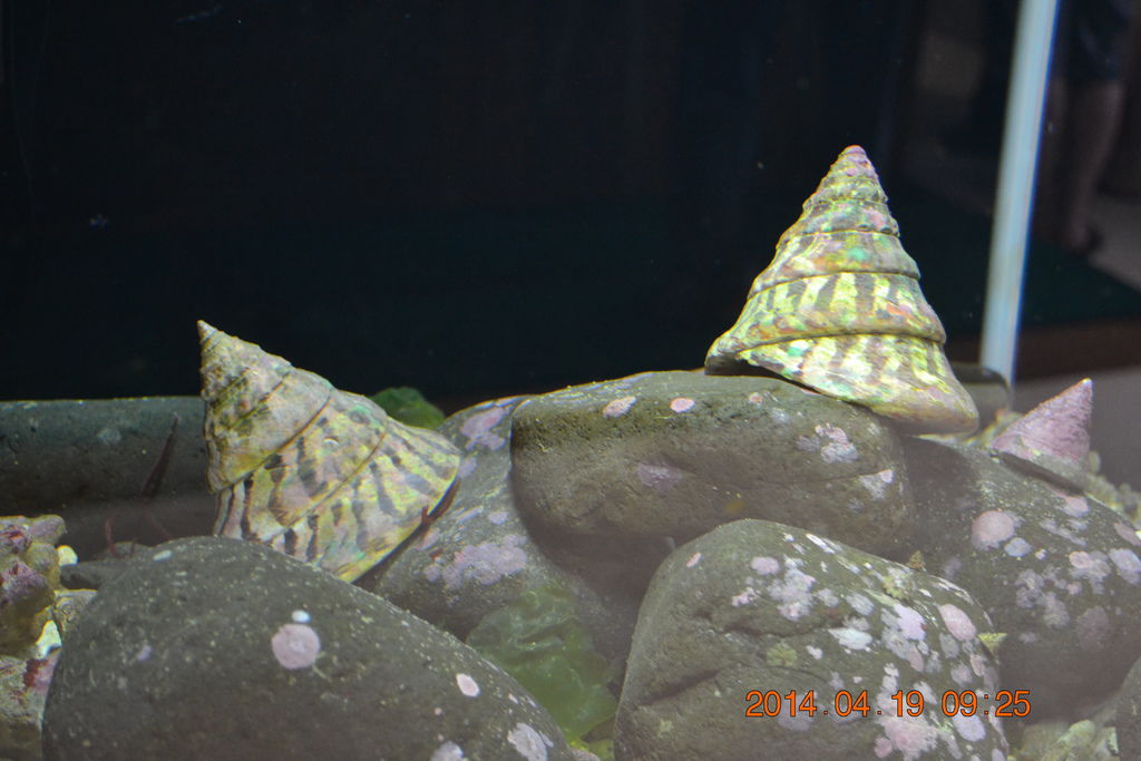 DSC_0846 DSC_0846