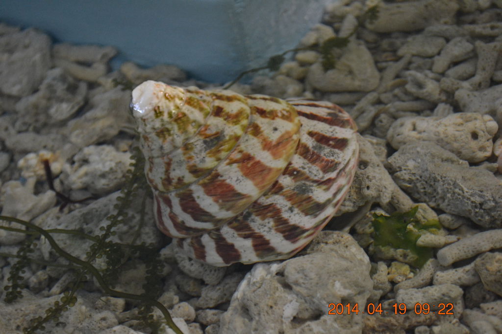 DSC_0842 DSC_0842