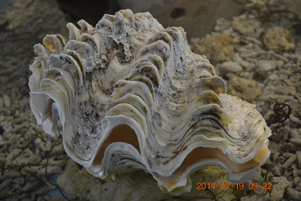 DSC_0841 DSC_0841