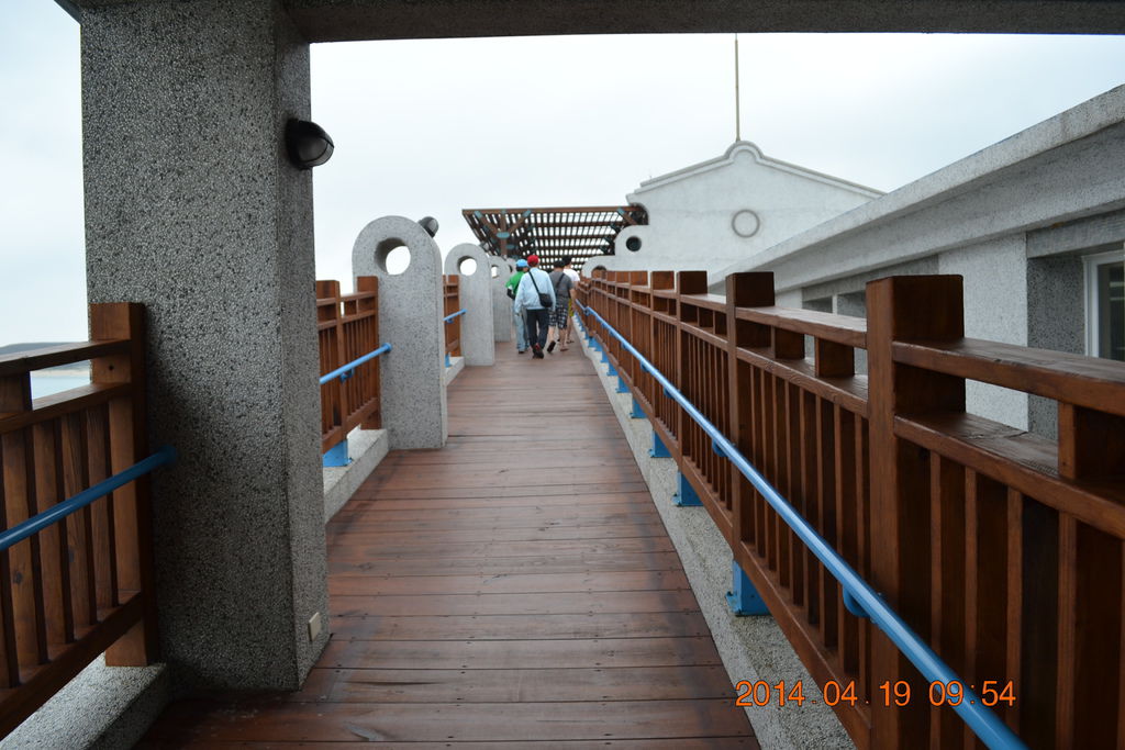 DSC_0849 DSC_0849