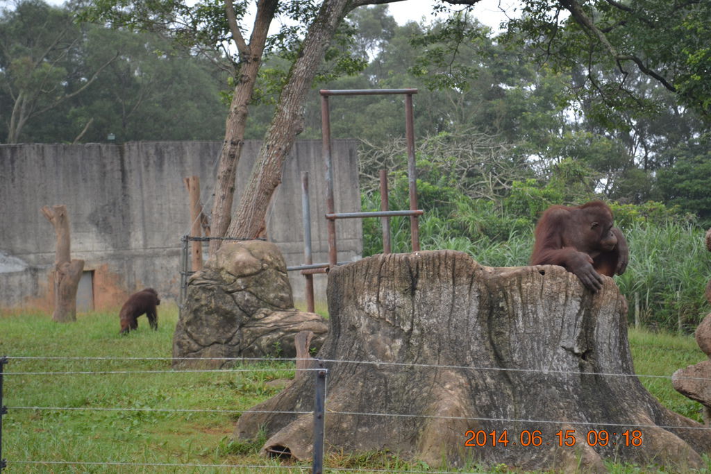 DSC_0135 DSC_0135