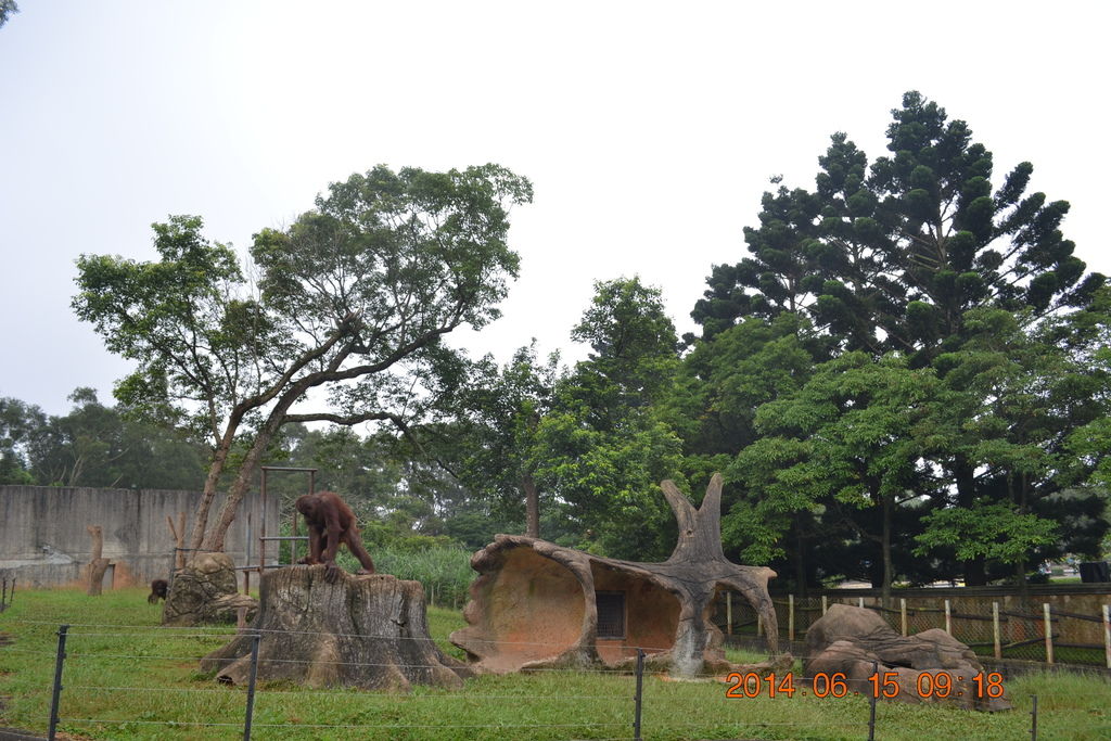 DSC_0136 DSC_0136
