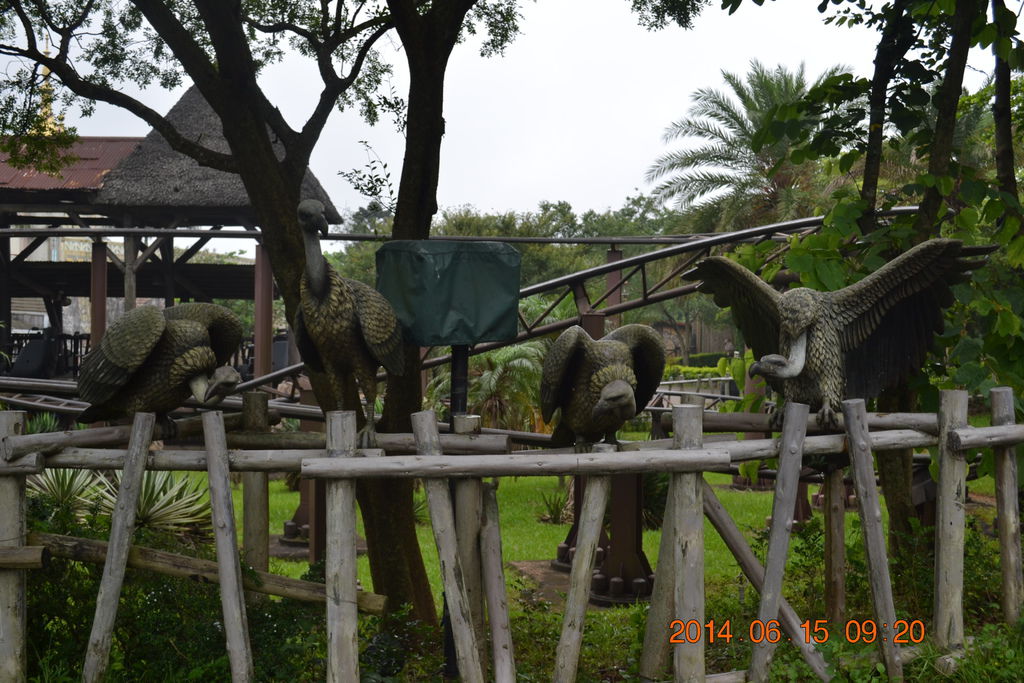 DSC_0139 DSC_0139