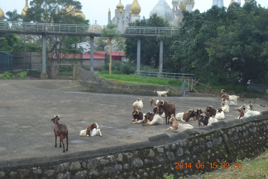 DSC_0158 DSC_0158