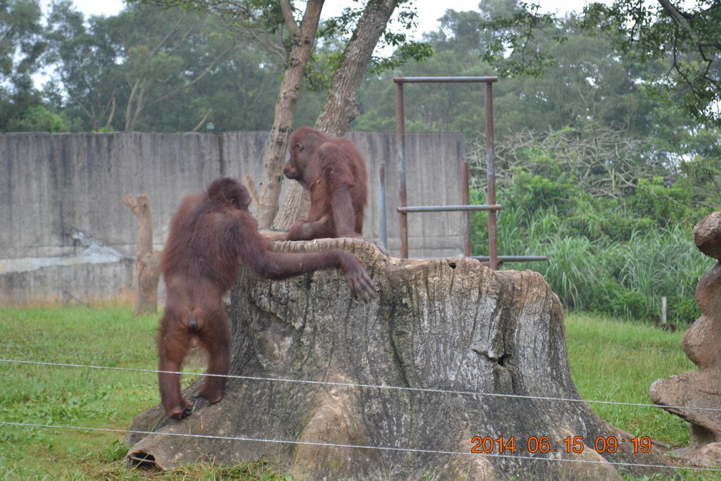 DSC_0138 DSC_0138