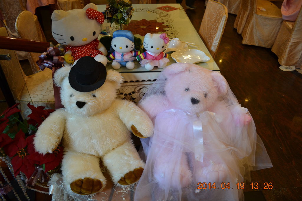 DSC_0864 DSC_0864