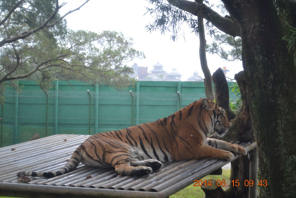 DSC_0171 DSC_0171