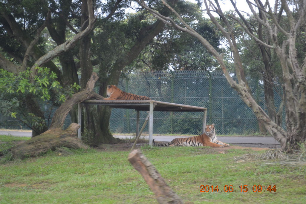 DSC_0179 DSC_0179