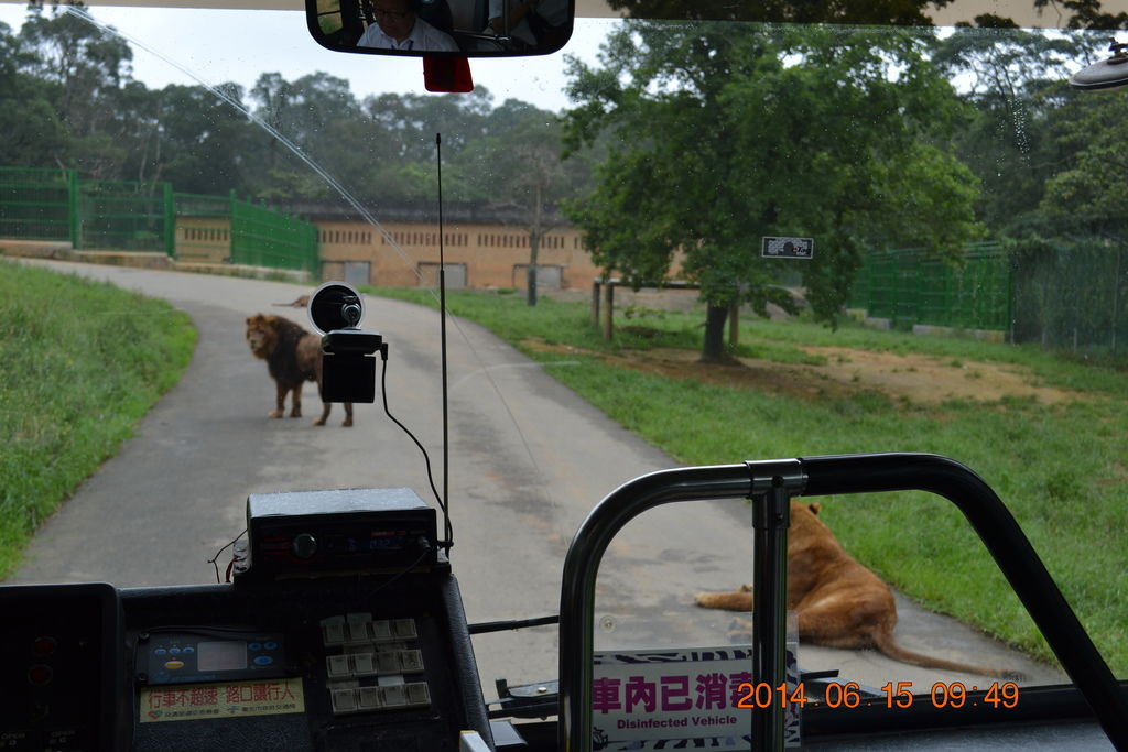 DSC_0207 DSC_0207