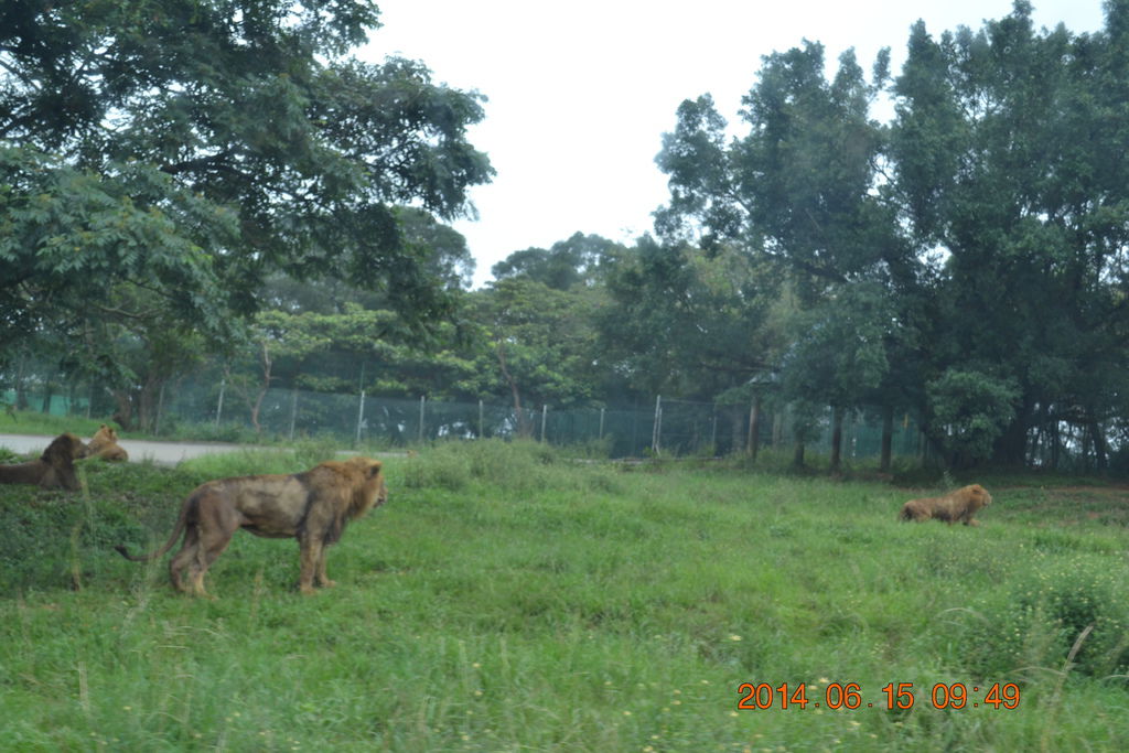 DSC_0208 DSC_0208