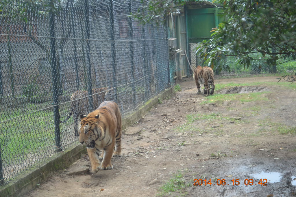 DSC_0167 DSC_0167