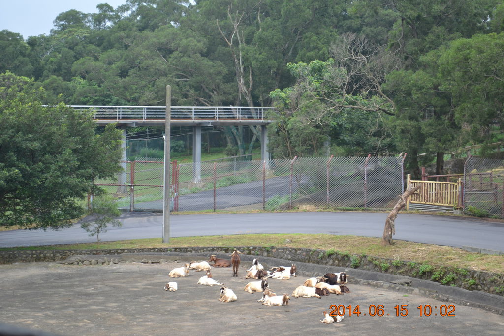 DSC_0230 DSC_0230