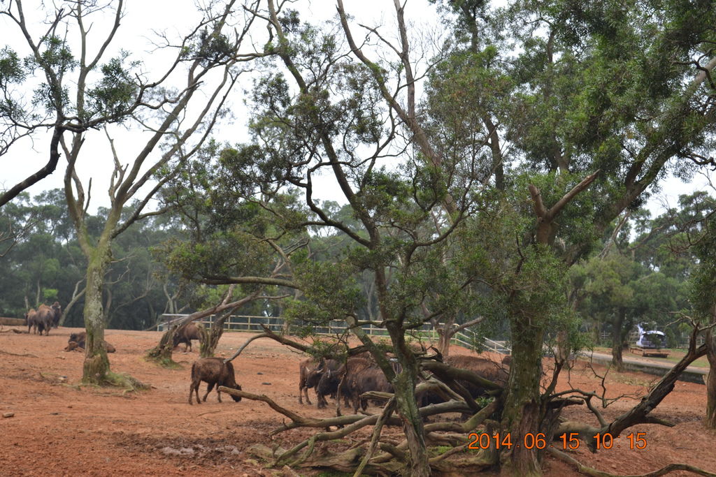 DSC_0258 DSC_0258