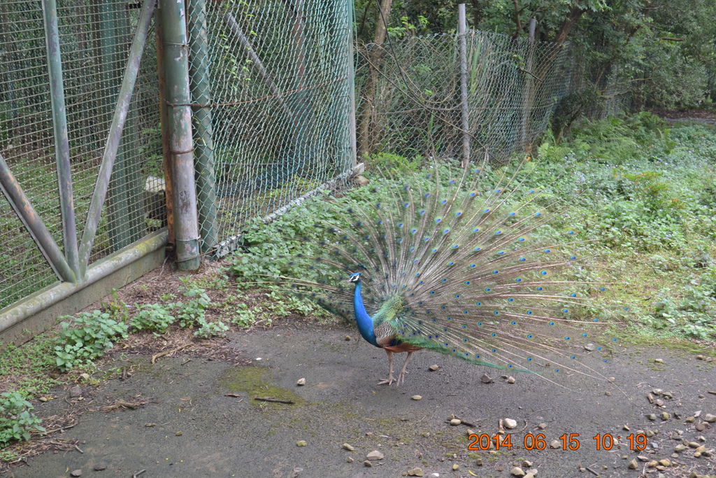 DSC_0270 DSC_0270
