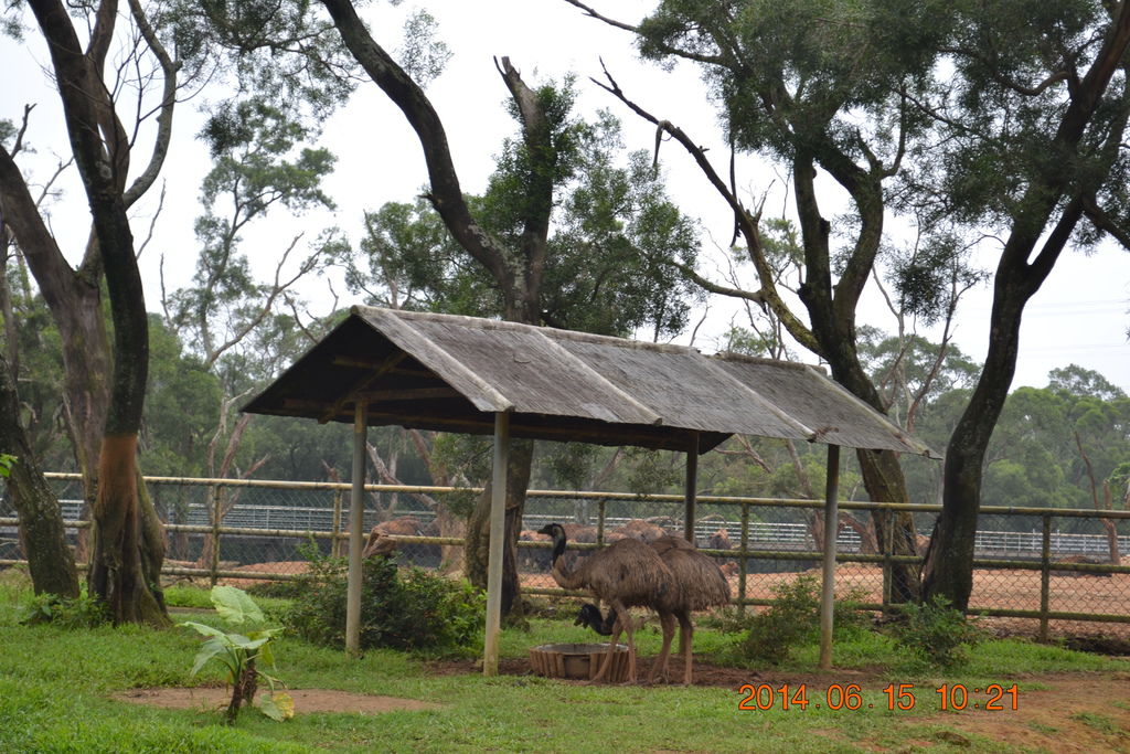 DSC_0275 DSC_0275