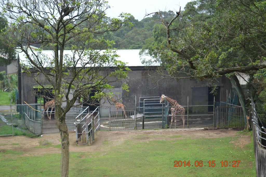 DSC_0294 DSC_0294