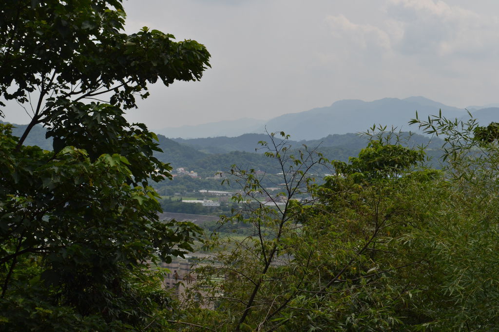 DSC_0088 DSC_0088