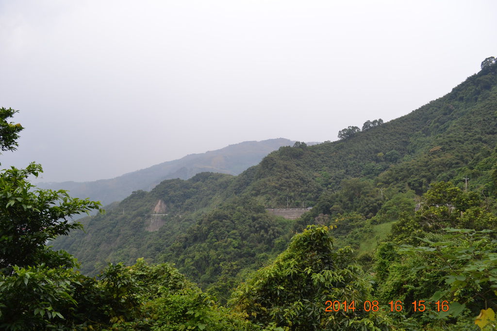DSC_0236 DSC_0236