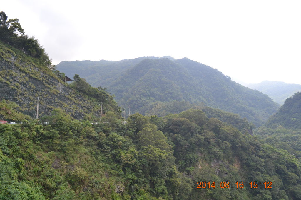 DSC_0232 DSC_0232