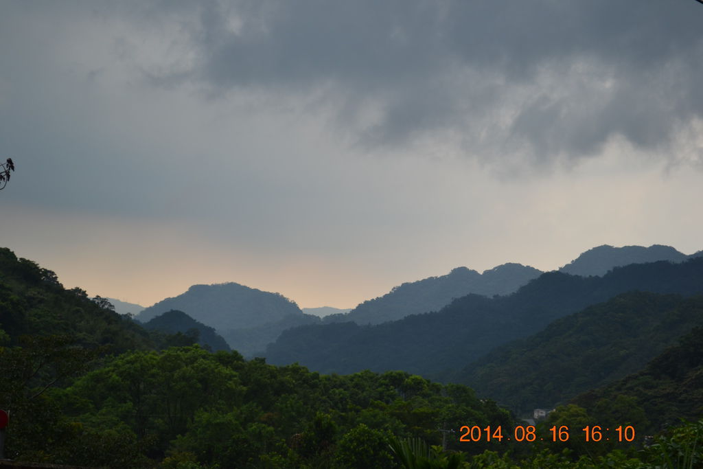 DSC_0245 DSC_0245